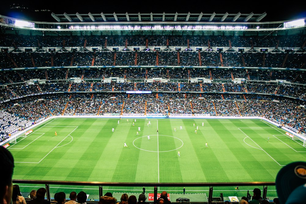 Stadium fans
